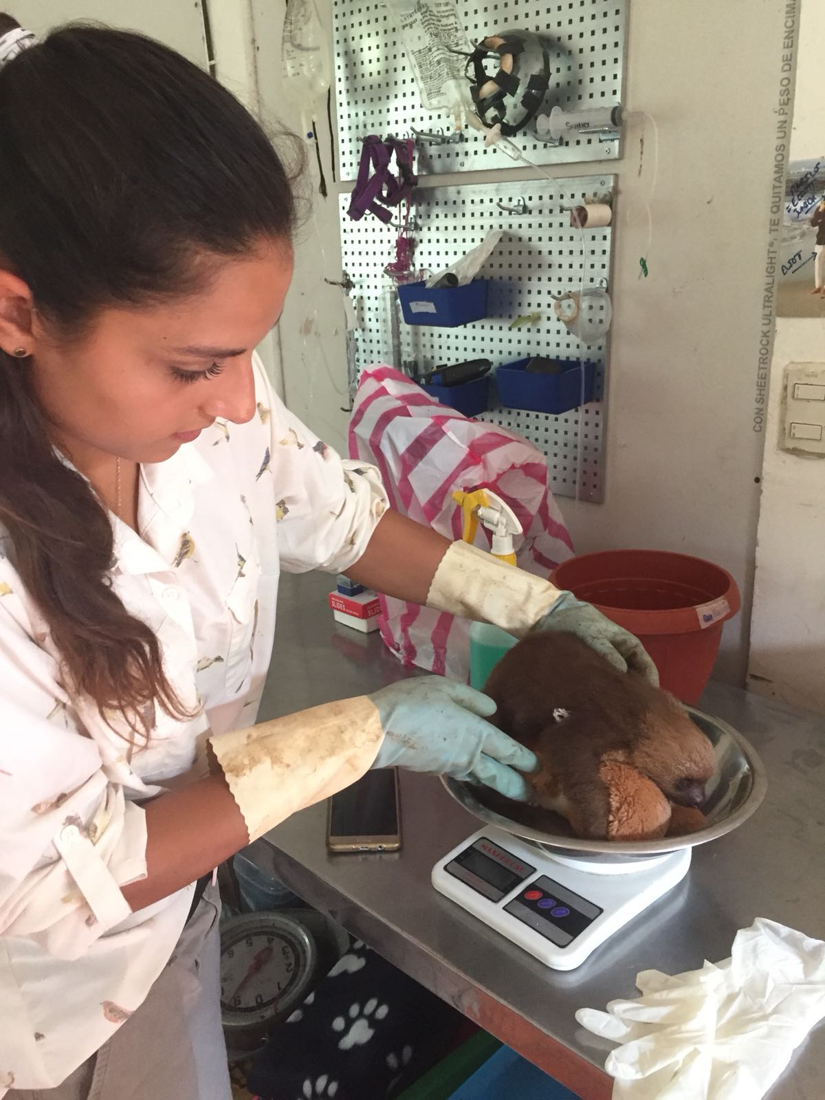 Mitarbeit in einer Wildtierstation